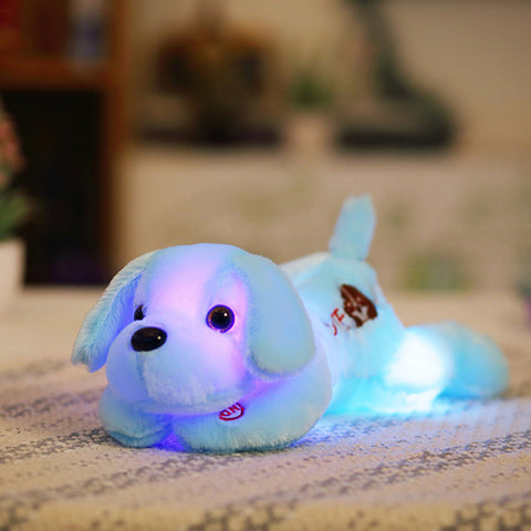 Glowing Lying Dogs