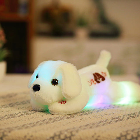 Glowing Lying Dogs